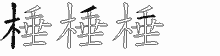 棰五笔拆分图