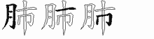肺五笔拆分图