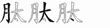 肽五笔拆分图
