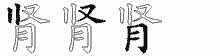 肾五笔拆分图