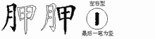 胛五笔拆分图