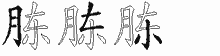 胨五笔拆分图