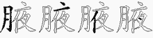 腋五笔拆分图