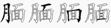 腼五笔拆分图