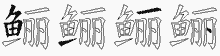 鲡五笔拆分图